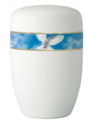 Urna Colomba